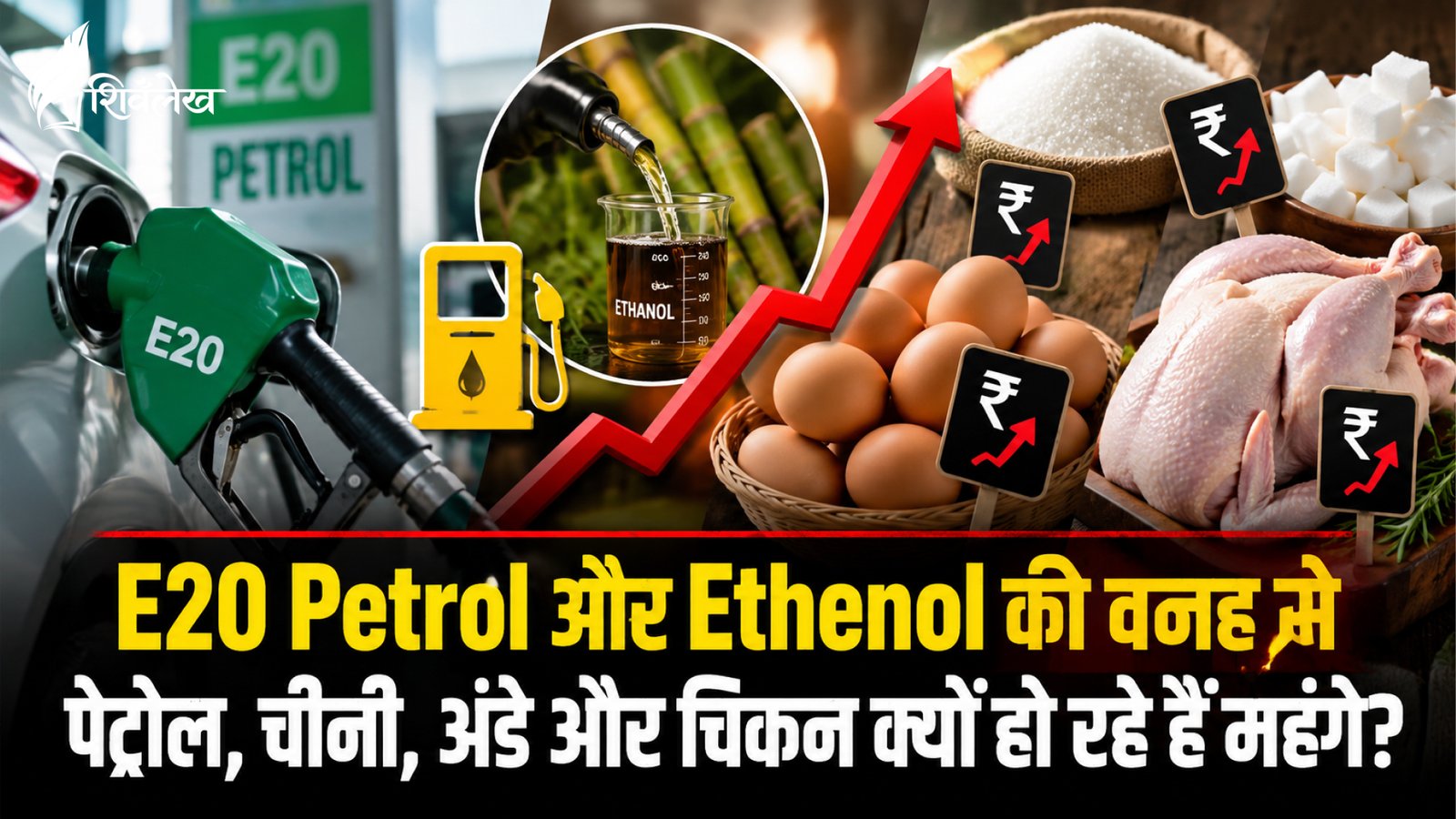 Ethenol की वजह से पेट्रोल, चीनी, अंडे और चिकन हो रहे हैं महंगे?